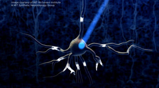 Optogenetics невронно-640x353