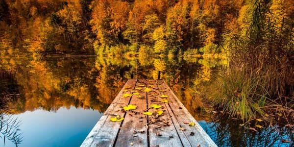 знаци за есента 