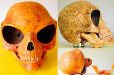 Останки от извънземни на Земята