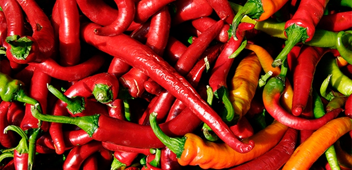 Лютите чушки предпазват черния дроб от увреждане.