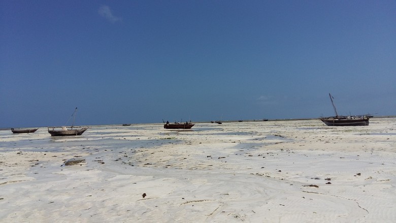 Водата е напуснала брега на остров Кий Ларго, Флорида