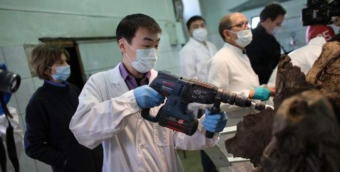 Мамутите ще се скитат отново в северната част на Русия