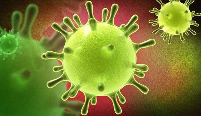 „Непобедима