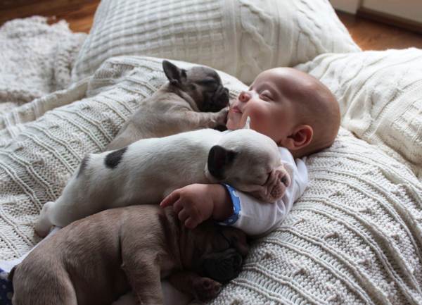 защо не можете да снимате спящи хора на камери 