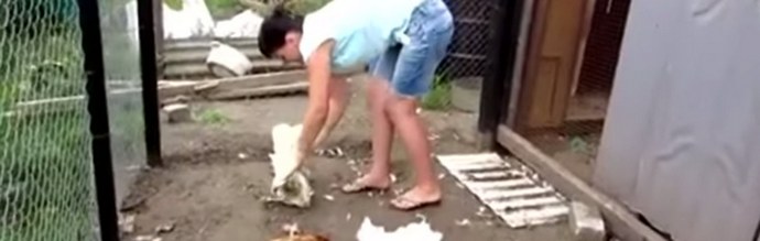 Защо Чупакабра се появява сякаш от нищото?