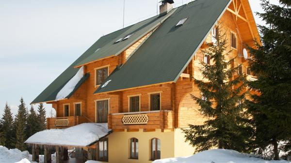 защо не можете да засадите дървета на мястото 