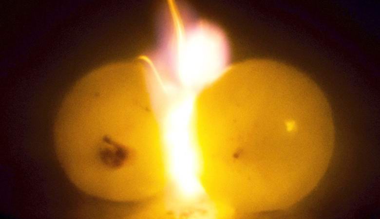 Защо гроздето експлодира в микровълновата?