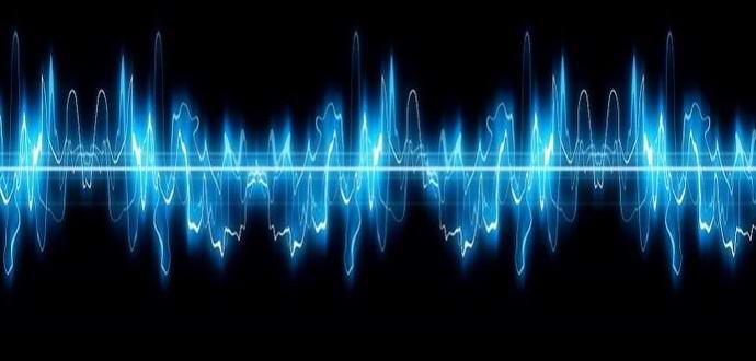 „Полицейската