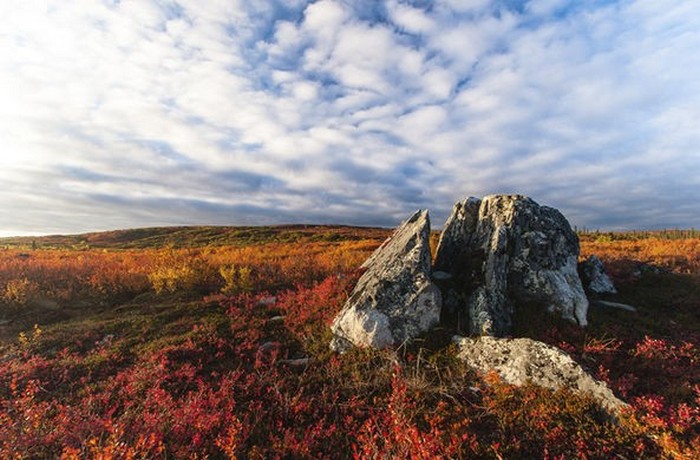 Месец и половина се скита около тундрата