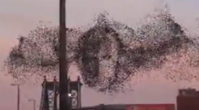 Портрет на Путин лети над Ню Йорк