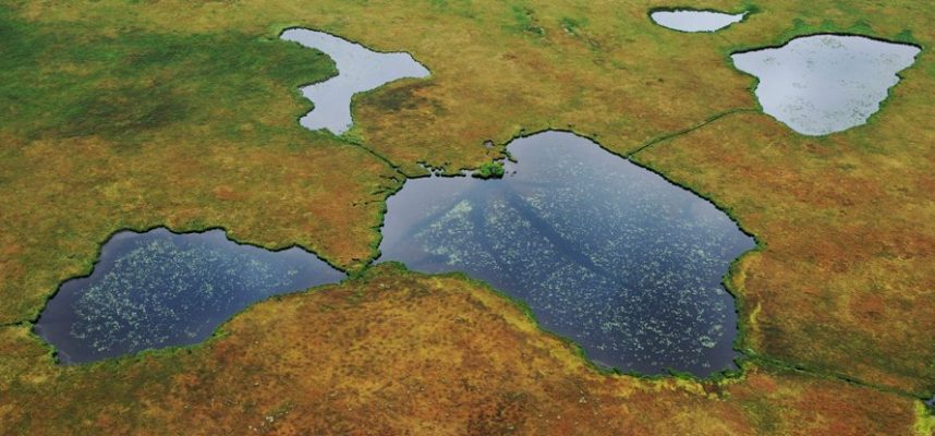 Повишаването на глобалната температура с 2 ° C може да отвори 230 милиарда тона въглеродни запаси 