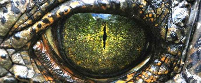 Наближава нов период на гигантски динозаври.