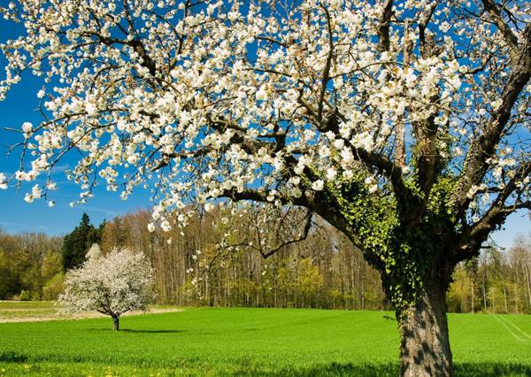 подписва на 3 май 