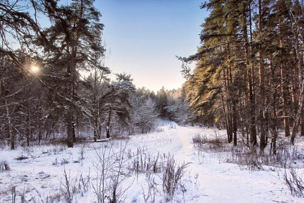 знаци за 9 декември 