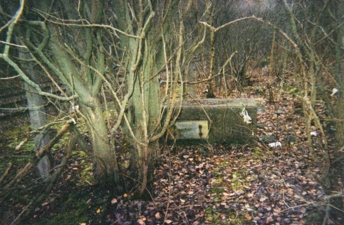 Фантомният