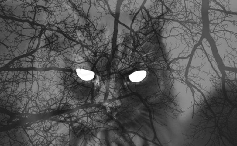 Призракът в гаража уплаши охраната