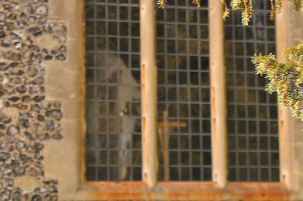 Призрак може да бъде открит дори по миризма.