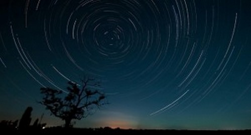 Птиците усещат, че бурята наближава след няколко дни. Как?