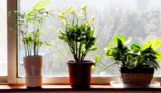 „Кликнете,