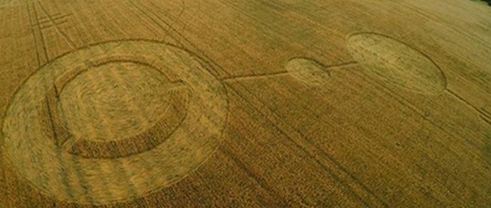 „Разочарование