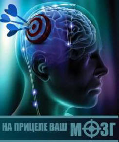 Развитие на дясното полукълбо на мозъка