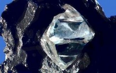 „Най-редката