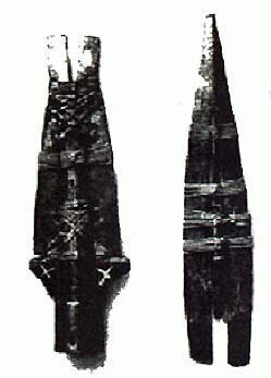 Мощите на фюрера