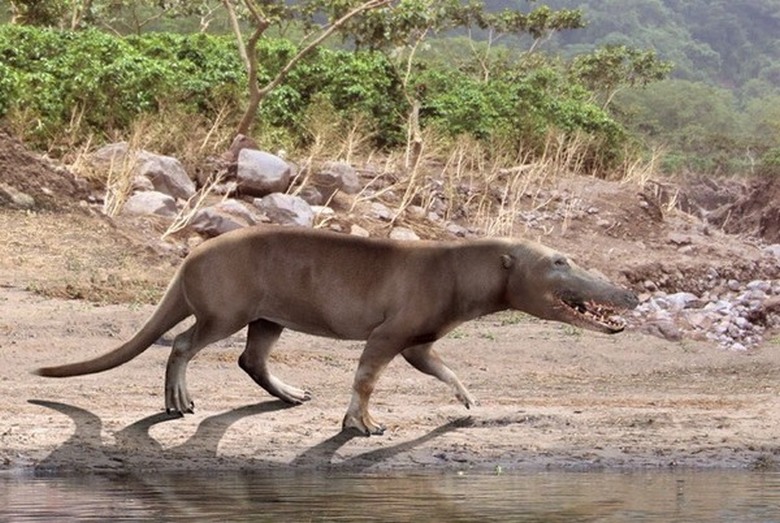 Руските учени са събудили същества на възраст над 40 хиляди години