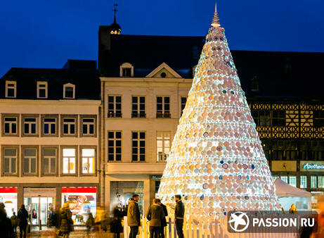 Порцеланово дърво