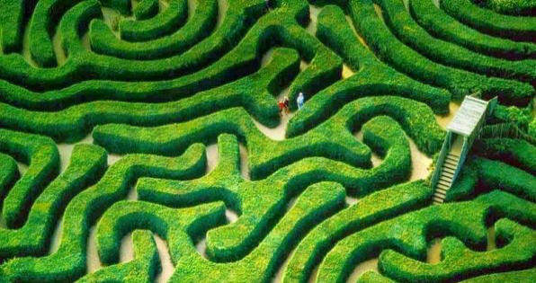 „Най-дългият