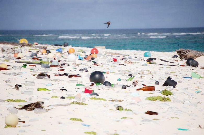 Най-замърсеният пластмасов остров в света - обект на ЮНЕСКО за световно наследство