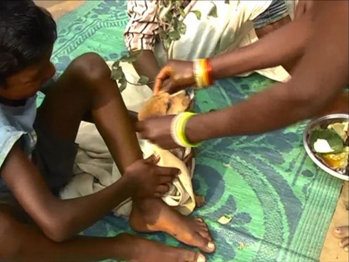 Седемгодишно момче се ожени за бездомно куче