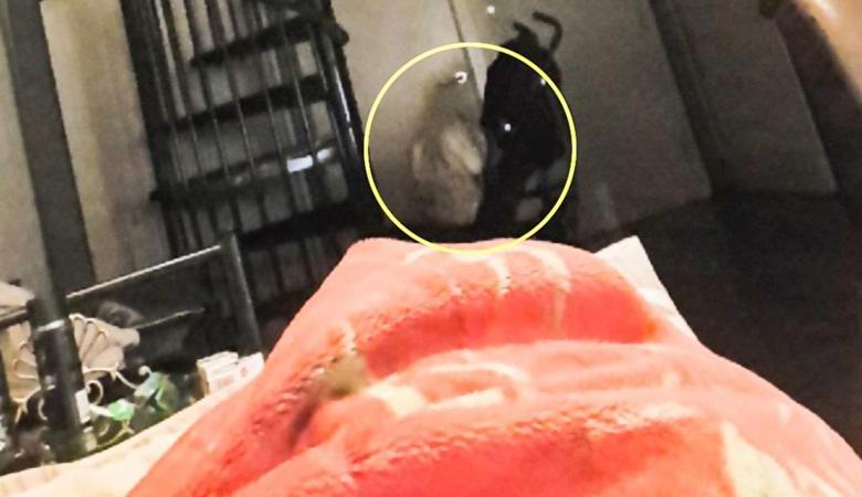 Снимано от зловещ фантом, седнал на пода на апартамент