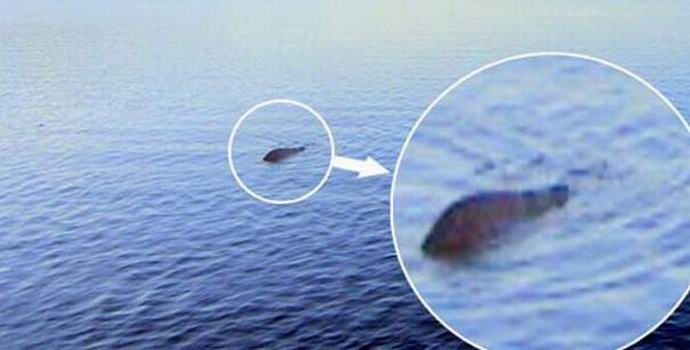 Шотландецът от четвърт век ловува сома вместо чудовището Лох Нес