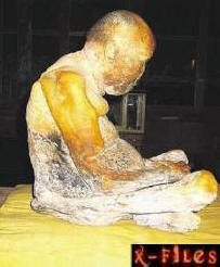 „Сибирското