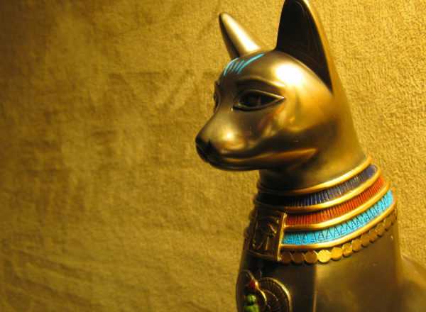 Символ на котка Символ на котка