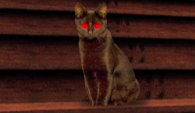 „Сингапурците