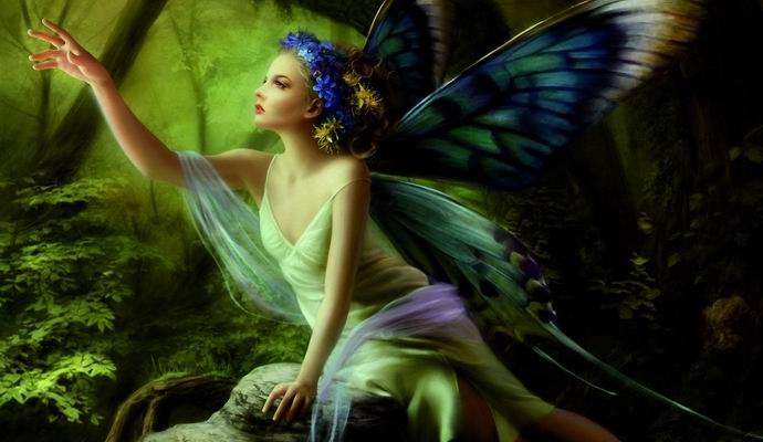 Феите на феите посетиха американския магазин за сувенири