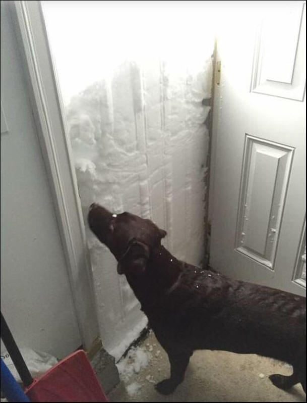 Аномалия на американската снежна буря, буря