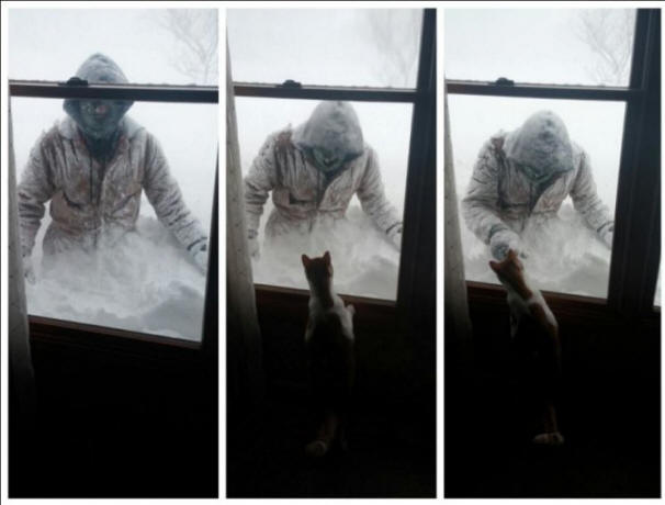 Аномалия на американската снежна буря, буря