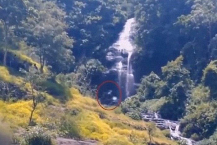 Bigfoot в индонезийската джунгла