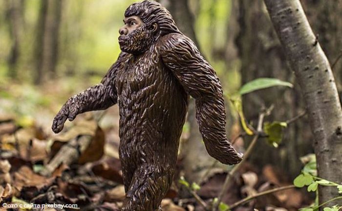 Bigfoot беше забелязан на две места в Русия наведнъж