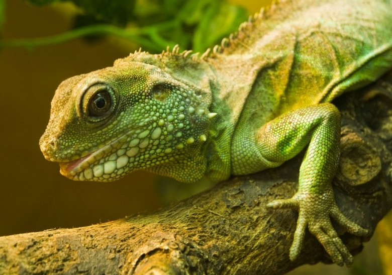 „Създадено