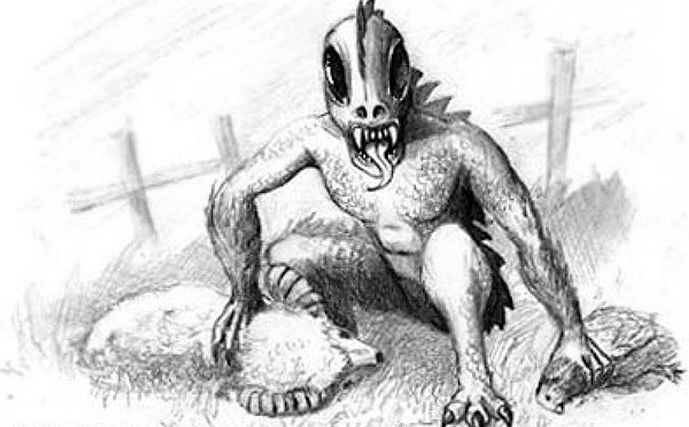 Тайнствената чупакабра се появи в Карпатския регион