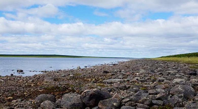 „Тайнственото