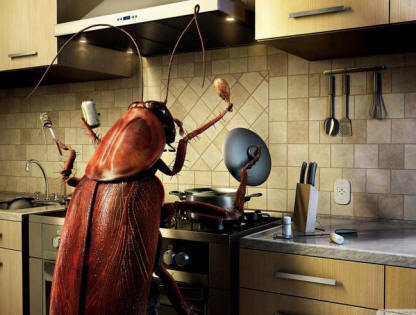 Хлебарките си отиват?