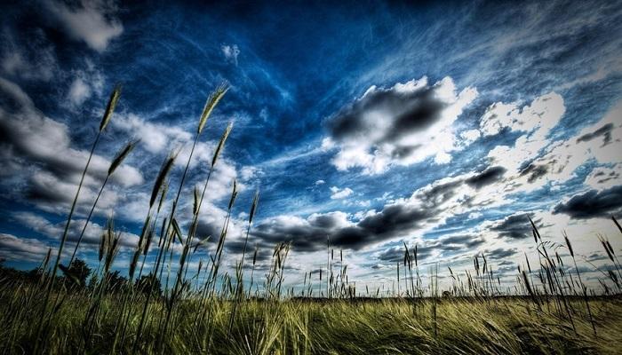 Тромпетни звуци от небето стават все по-разнообразни и всеобхватни, въпреки че тяхната природа остава загадка.