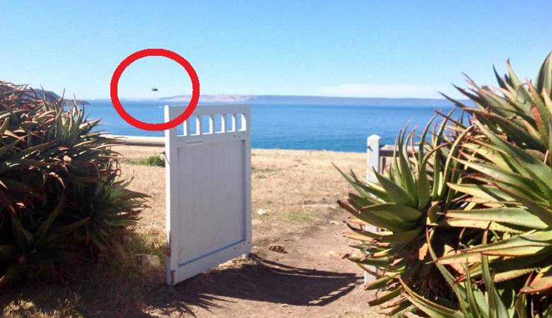 Туристът превзе НЛО-