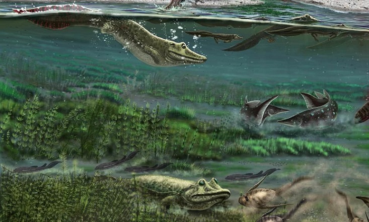 Учените опровергаха предишното понятие за еволюция