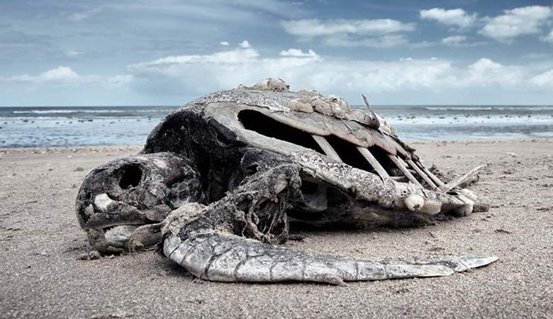 Учените предупреждават за